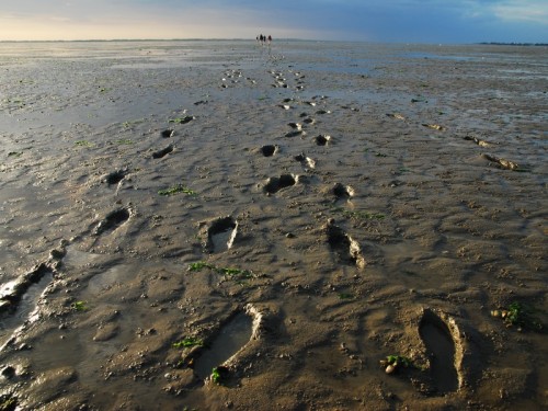 Weltnaturerbe entdecken<br>01.05. - 30.06.2023<br><br>