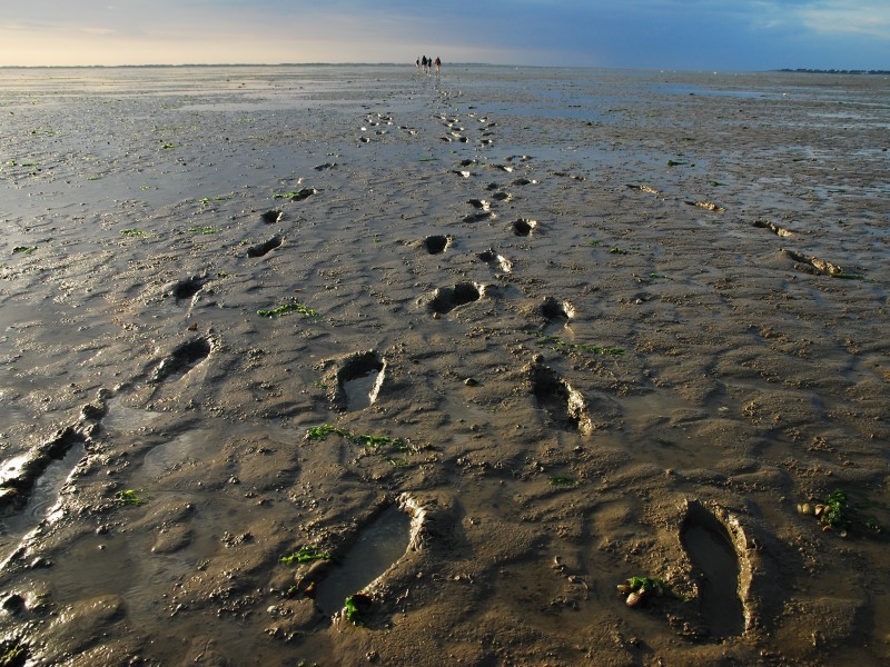 Weltkulturerbe Wattenmeer