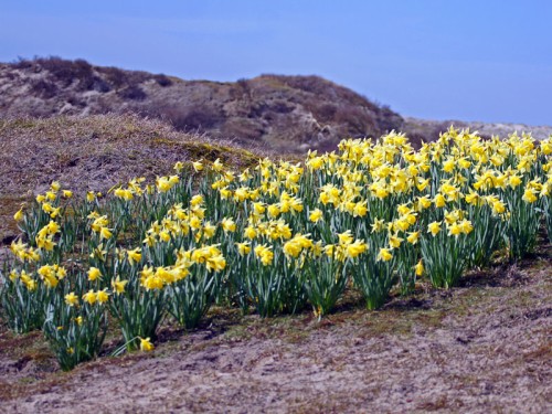 Inselfrhling<br>24.02.-01.04.2023<br>4 Nchte