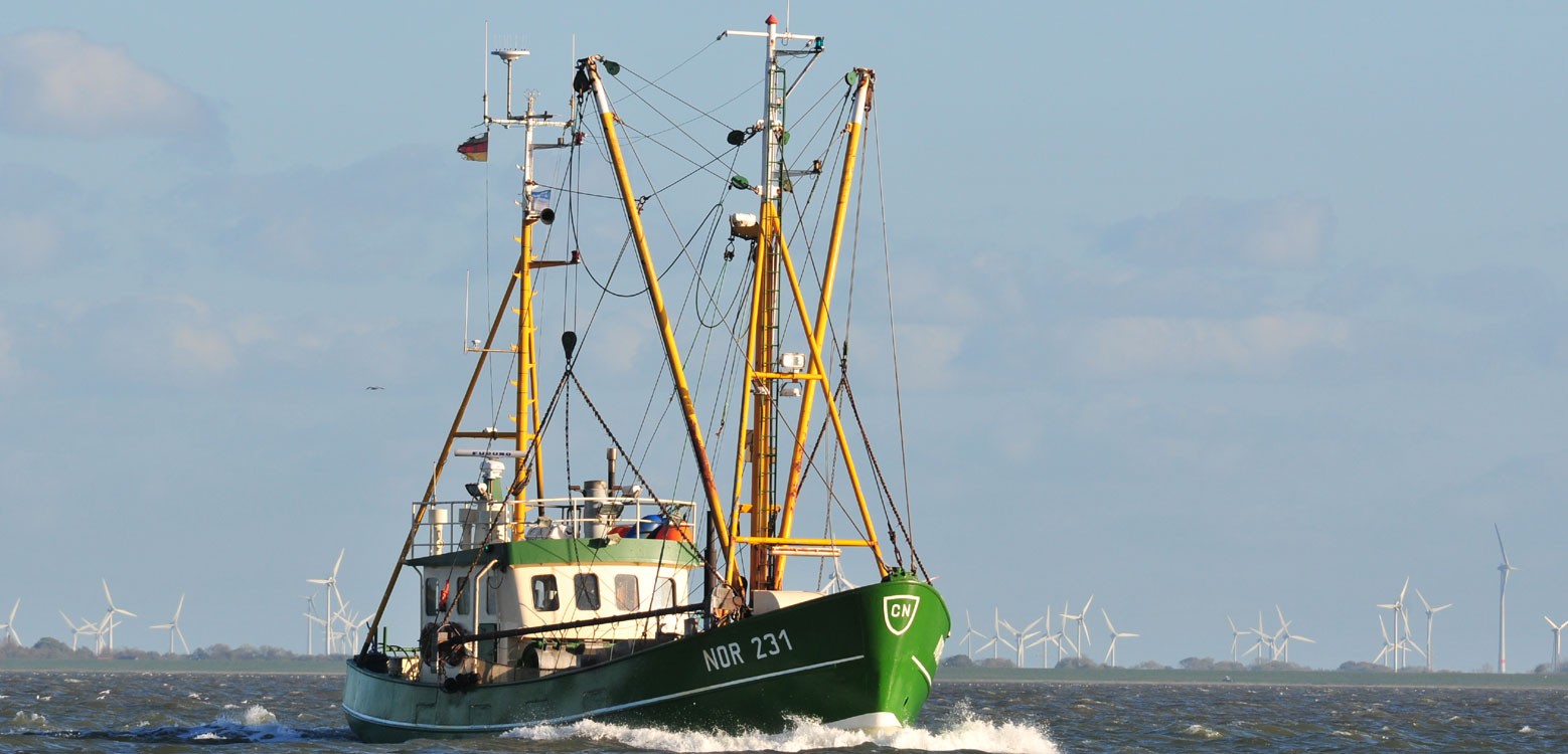 Hotel Norderney Ostfriesland Restplatze Last Minute