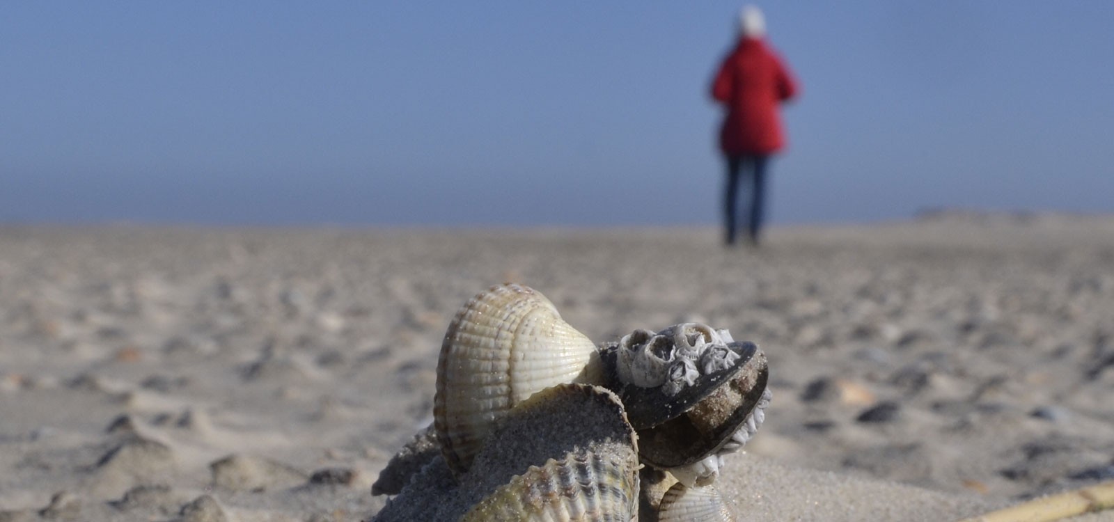 Strandspaziergang